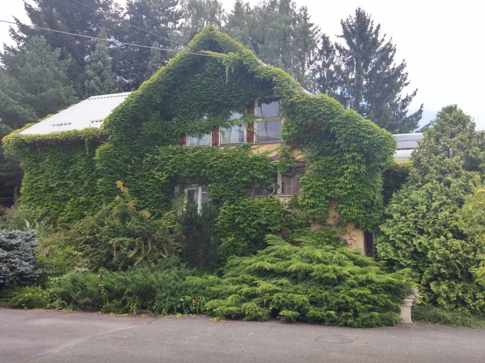 Besichtigung des berühmten Arboretums Opeka
